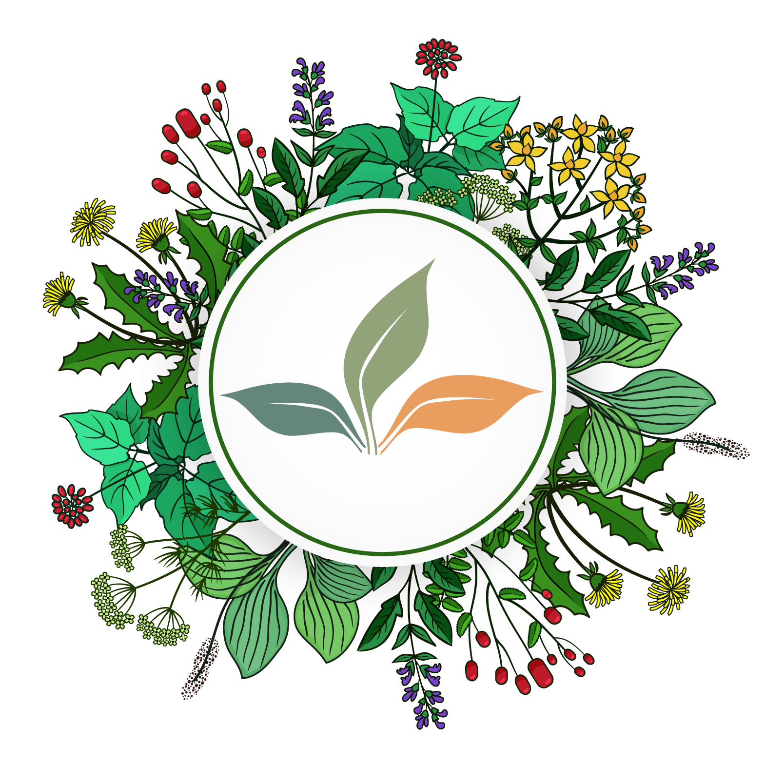Ayurvedic Wellness